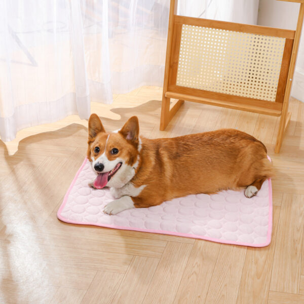 Summer Pet Friendly Ice Cooling Cushion