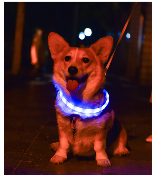 Anti-Lost LED Dog Collar