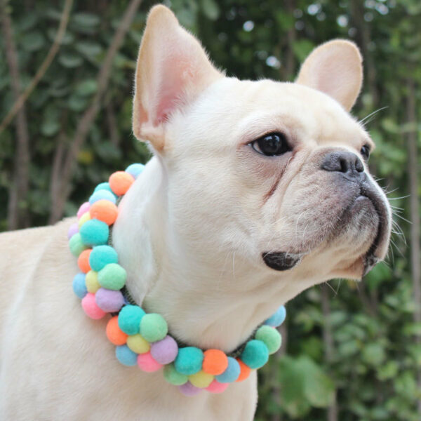 Rainbow Flower Dog Collar