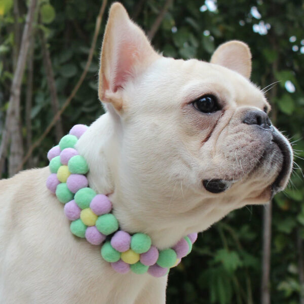 Rainbow Flower Dog Collar