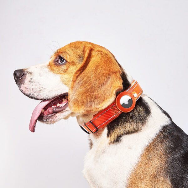 Pet AirTag Tracking Nylon Collar