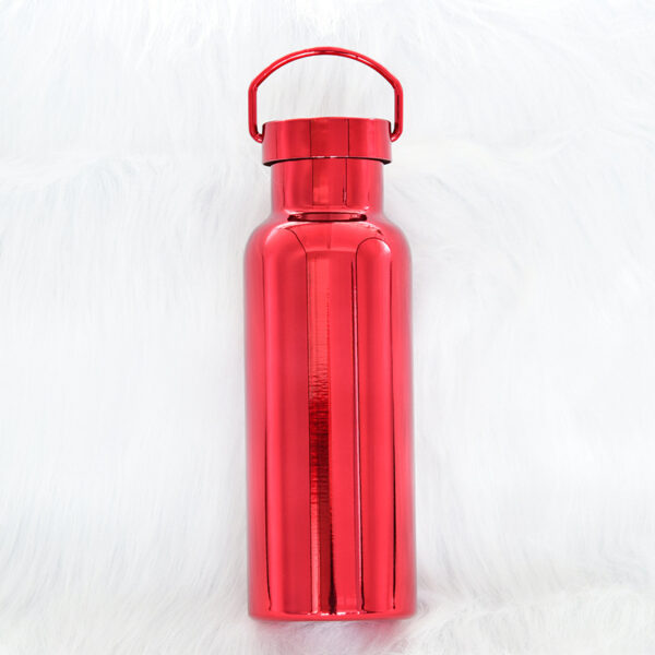 Portable 18oz Handheld Plated Stainless Steel Insulated Bottle