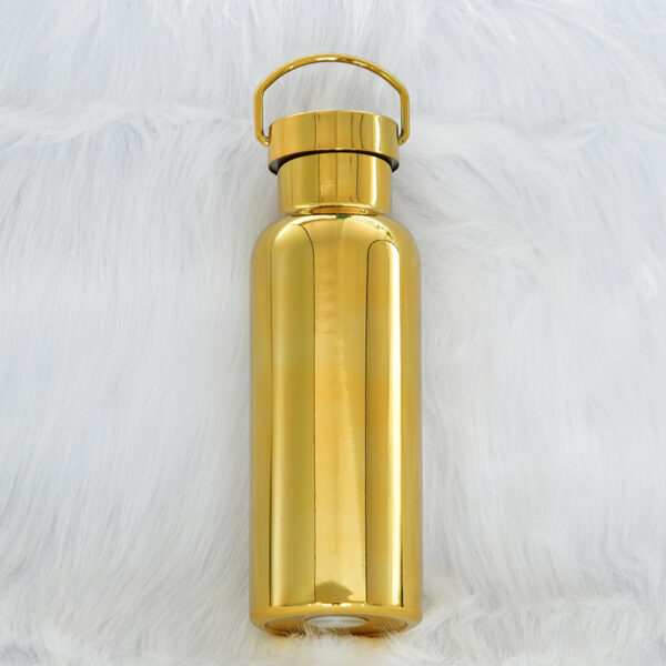 Portable 18oz Handheld Plated Stainless Steel Insulated Bottle