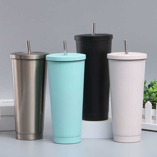 Stainless Steel Insulated 25oz Tumbler Cup