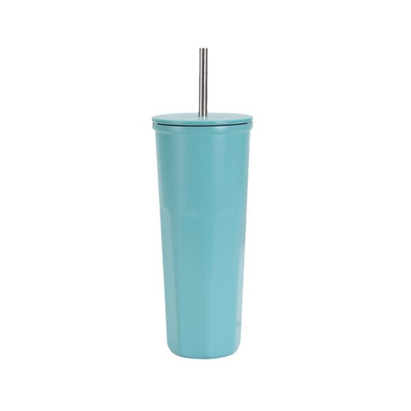 Stainless Steel Insulated 25oz Tumbler Cup