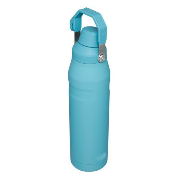 Stainless Steel Double-Walled Insulated Bottle with Handle-16oz