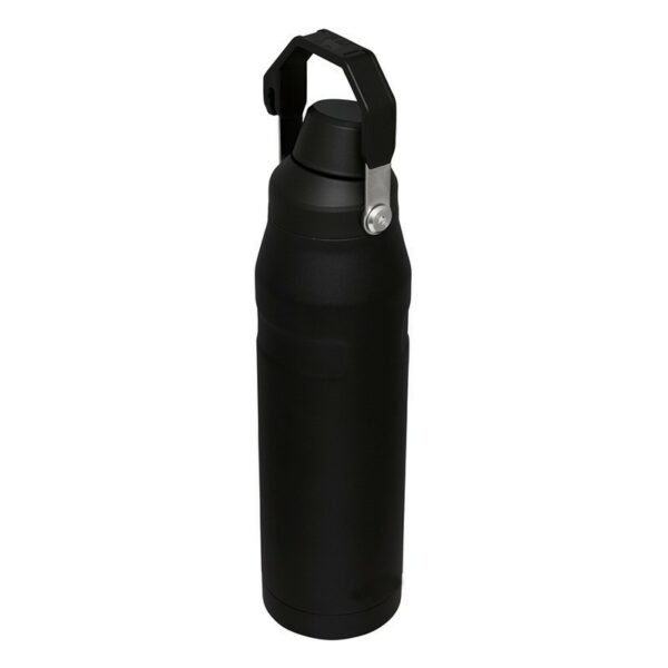 Stainless Steel Double-Walled Insulated Bottle with Handle-16oz