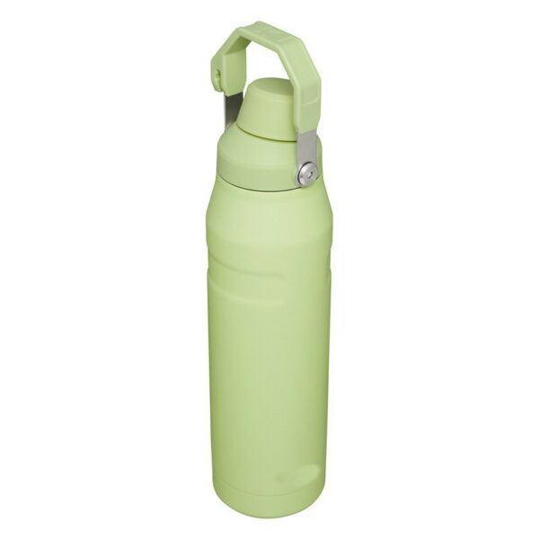 Stainless Steel Double-Walled Insulated Bottle with Handle-16oz