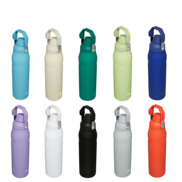 Stainless Steel Double-Walled Insulated Bottle with Handle-16oz