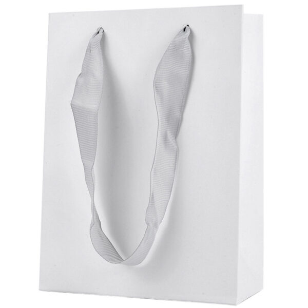 White Paper Card Gift Shopping Bag