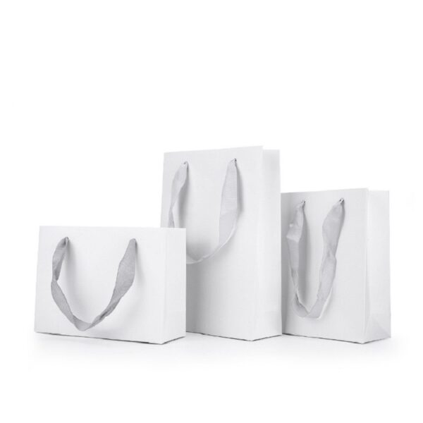 White Paper Card Gift Shopping Bag