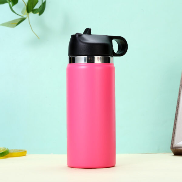 Custom 16OZ Stainless Steel Bottle with Straw