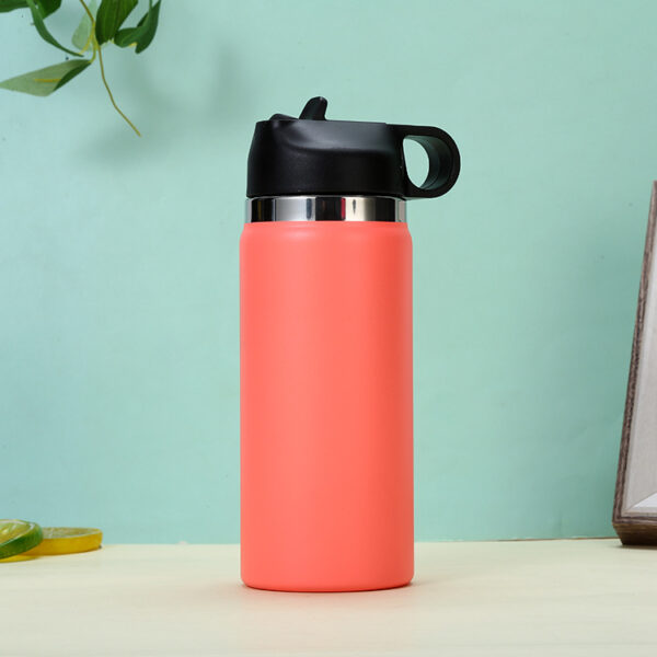 Custom 16OZ Stainless Steel Bottle with Straw