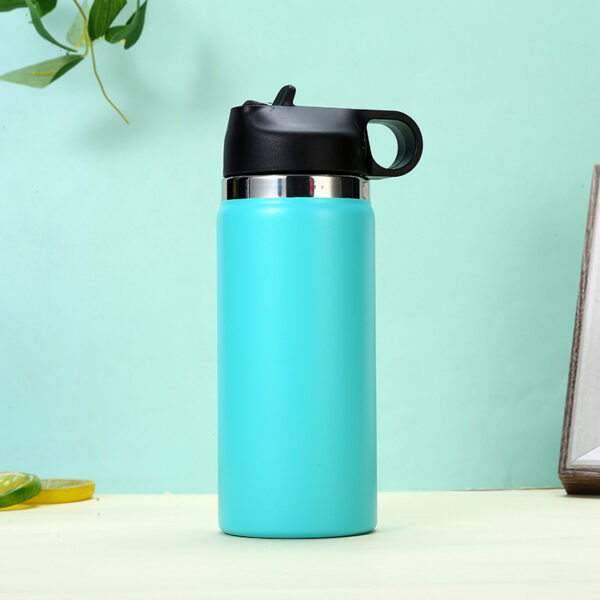 Custom 16OZ Stainless Steel Bottle with Straw