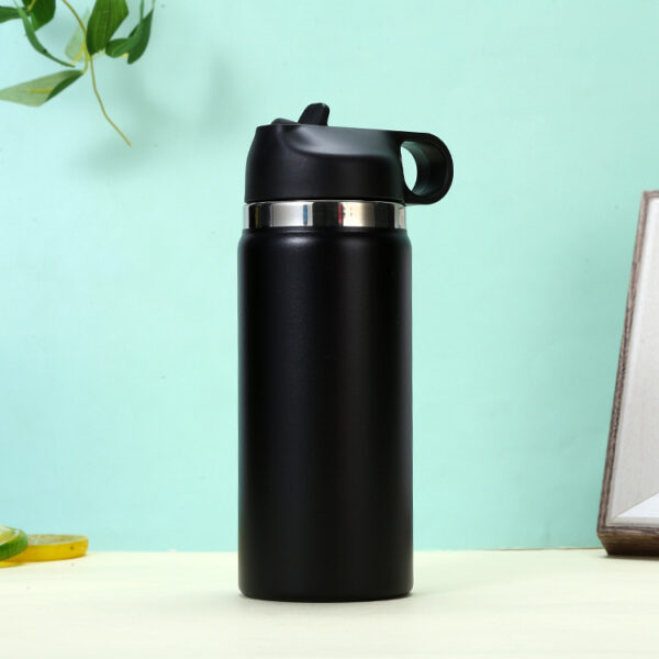 Custom 16OZ Stainless Steel Bottle with Straw