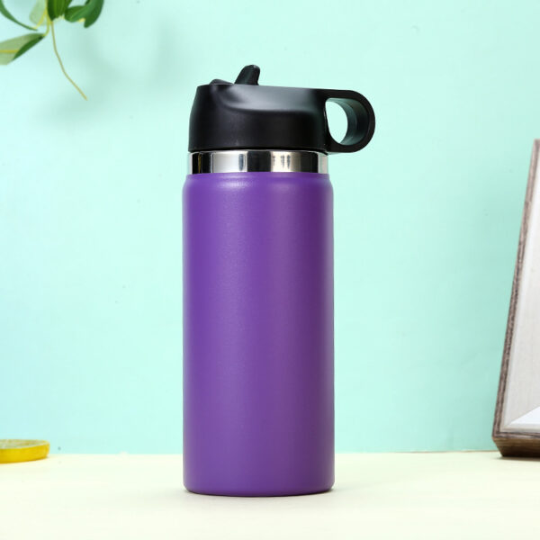 Custom 16OZ Stainless Steel Bottle with Straw