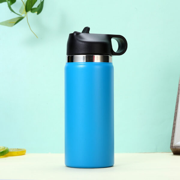 Custom 16OZ Stainless Steel Bottle with Straw