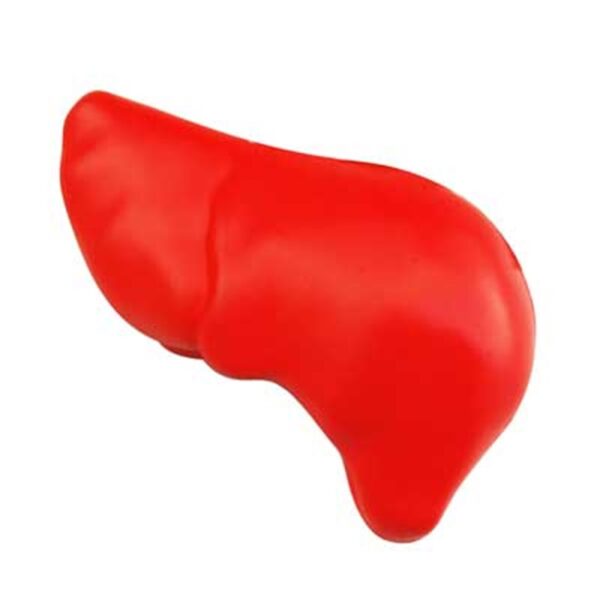 PU Liver Shape Stress Ball