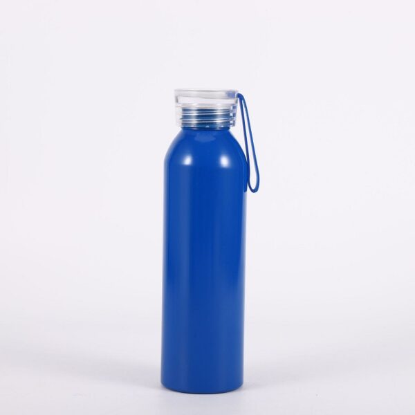 Aluminum Bottle with Handle Strap 20oz