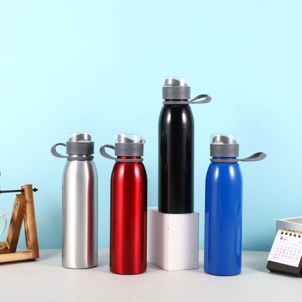 Aluminum Bottle with Carrying Handle -20oz