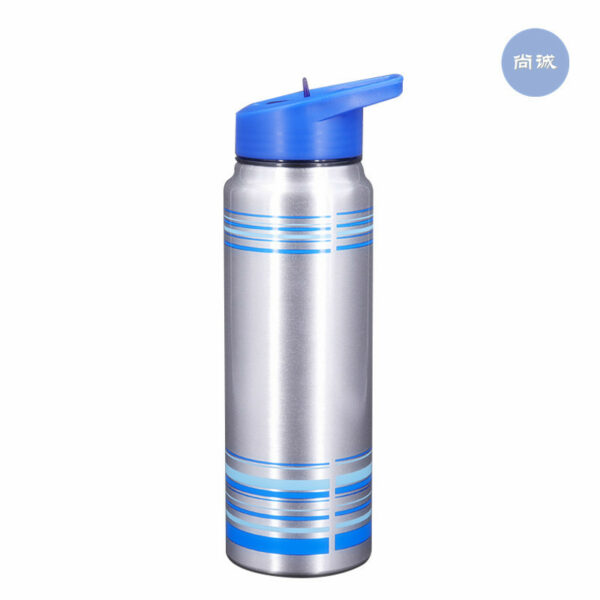 Striped Aluminum Sports Bottle with Straw 25oz