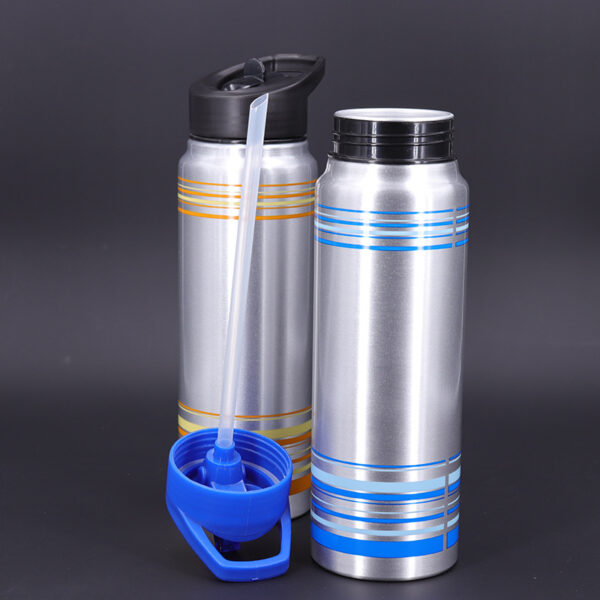 Striped Aluminum Sports Bottle with Straw 25oz