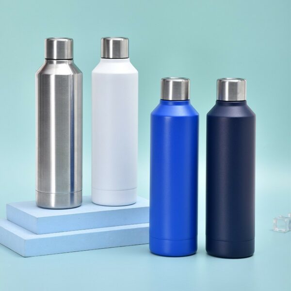 Outdoor Double Insulated Bottle 17OZ