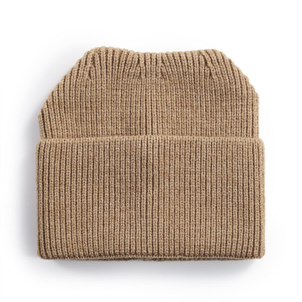 Cat Ears Winter Knit Beanie