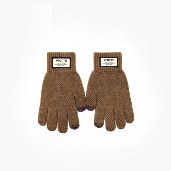 Thickened Jacquard Warm Touchscreen Gloves