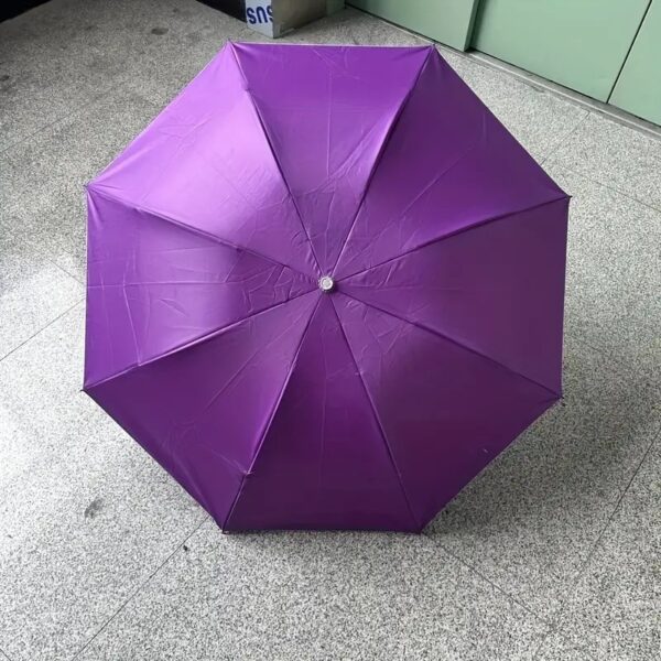 Creative Eggplant Umbrella