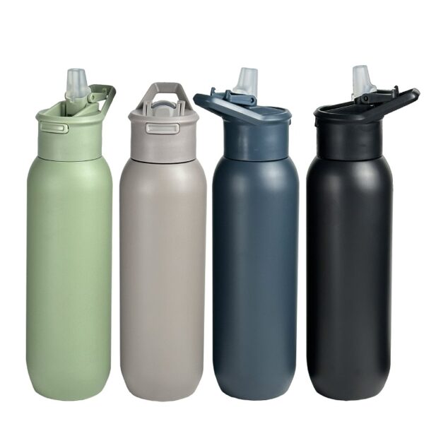 Sports Stainless Steel Water Bottle with Carry Handle 580ml