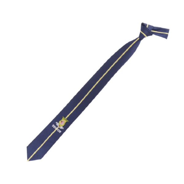 School Ties with Custom Logo