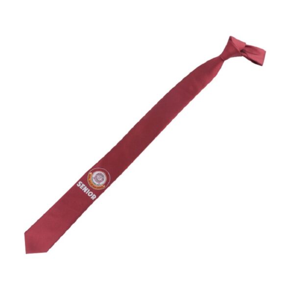 School Ties with Custom Logo