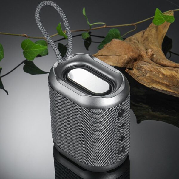 Plug-in Outdoor Party Mini Speaker