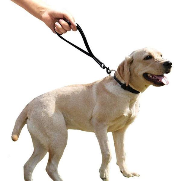 Customized Short Nylon Dog Walking Leash