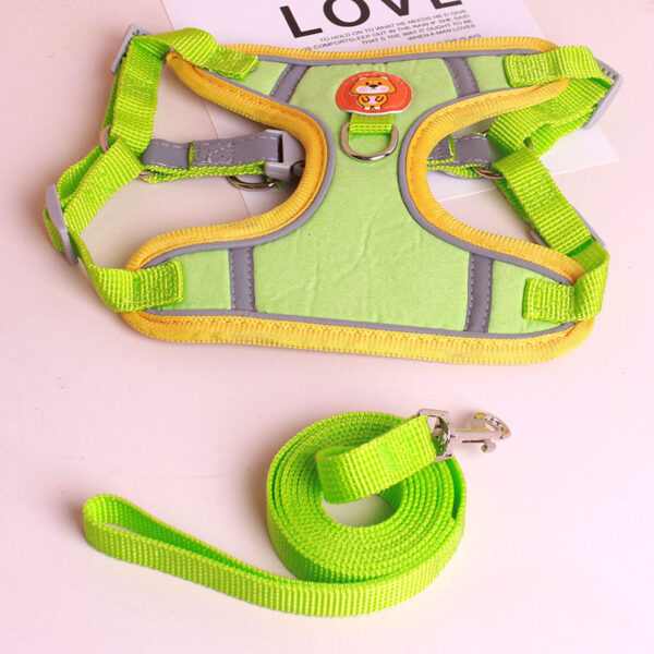 Harness And Leash Set For Small Dogs