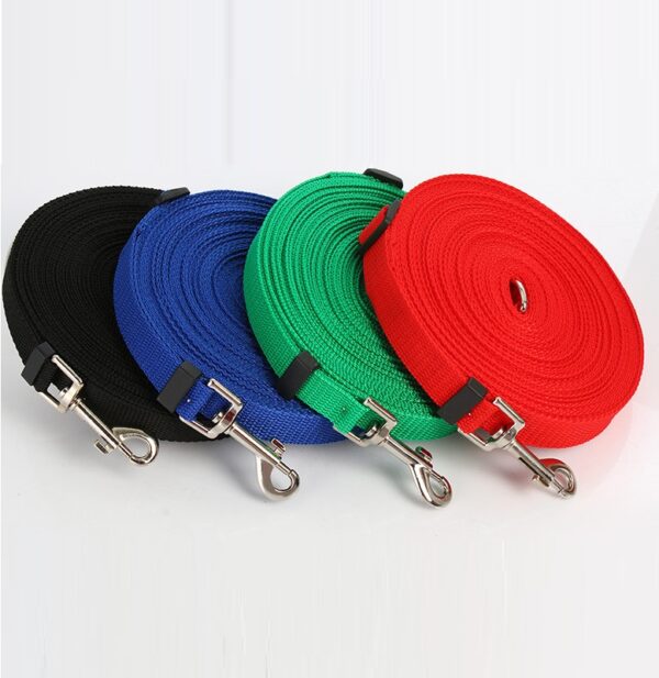 Nylon Dog Walking Leash with Foam Handle