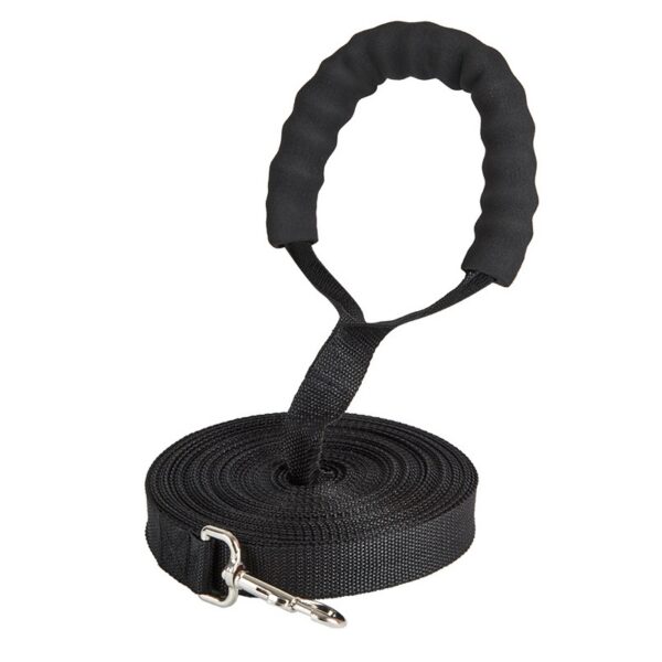 Nylon Dog Walking Leash with Foam Handle