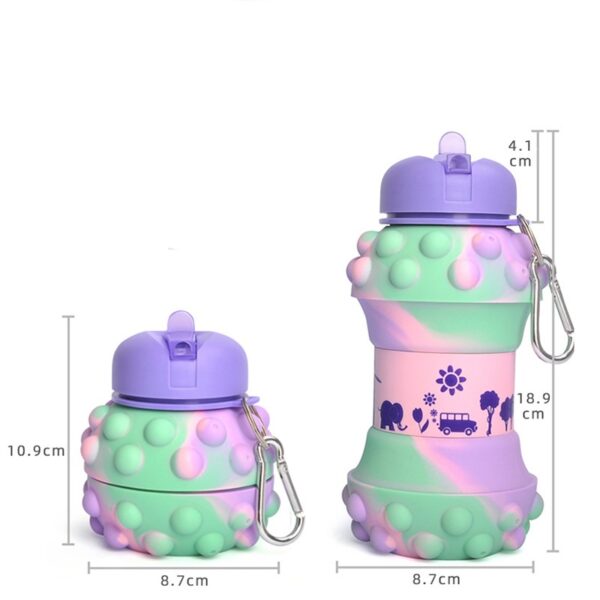 Foldable Pioneer Silicone Water Bottle