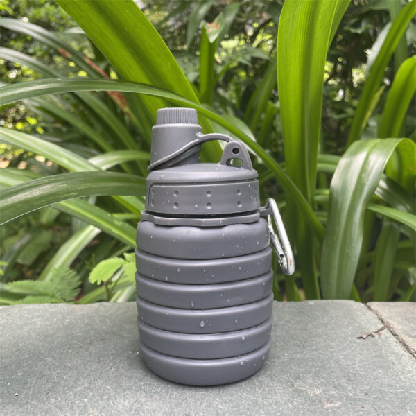 Wholesale Foldable Silicone Water Bottle