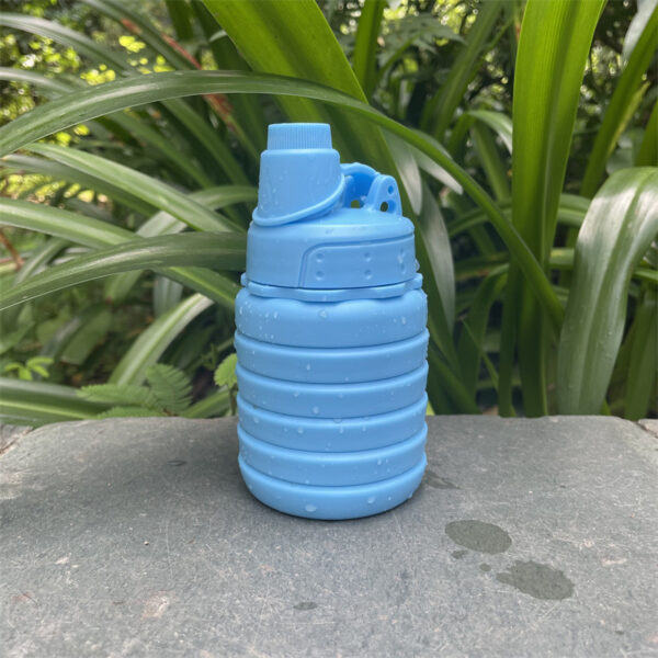 Wholesale Foldable Silicone Water Bottle