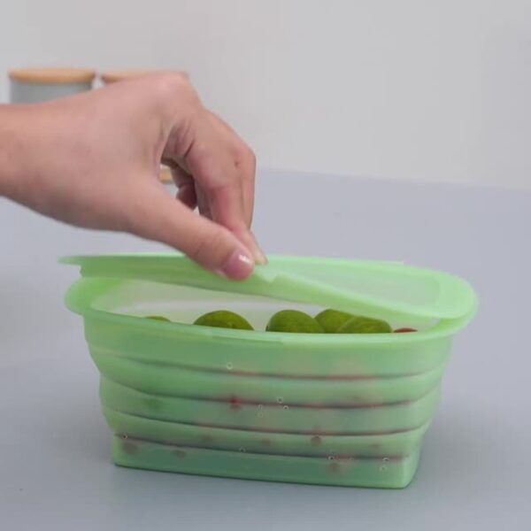 Food-grade Silicone Foldable Lunch Box