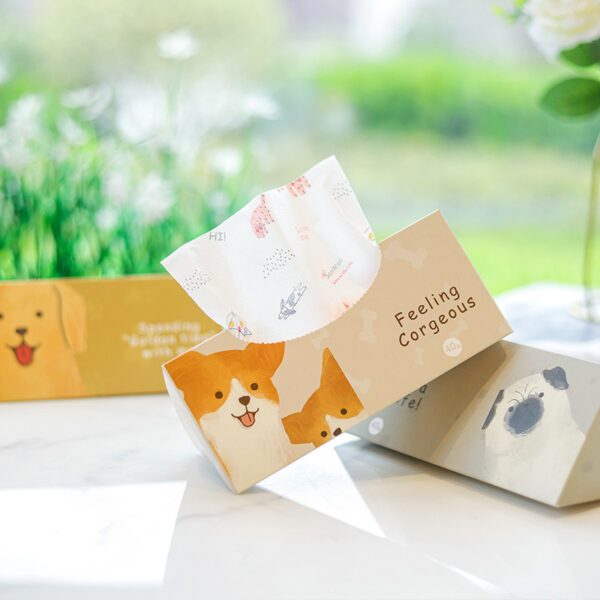 Cute Hard Boxed Printed Tissues