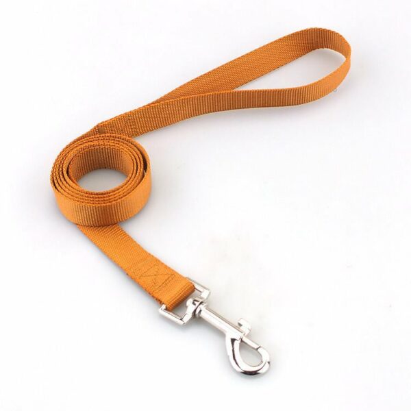 Nylon Dog Walking Leash