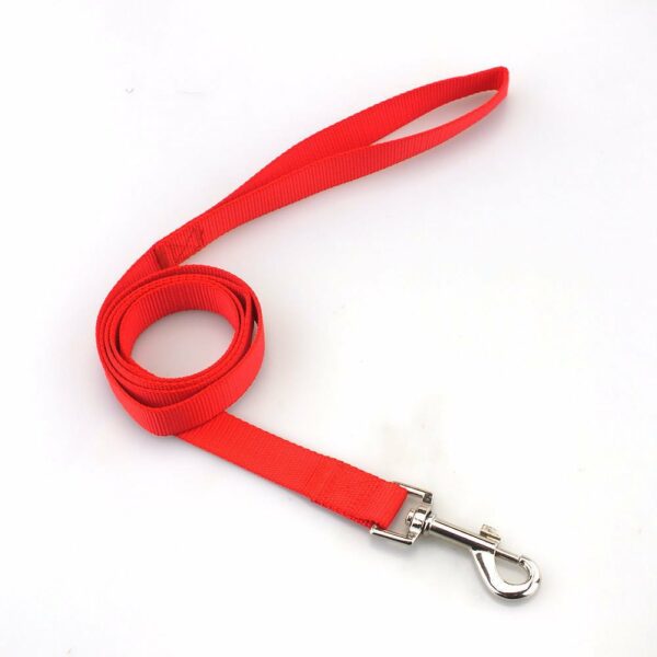 Nylon Dog Walking Leash