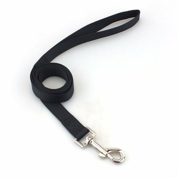 Nylon Dog Walking Leash