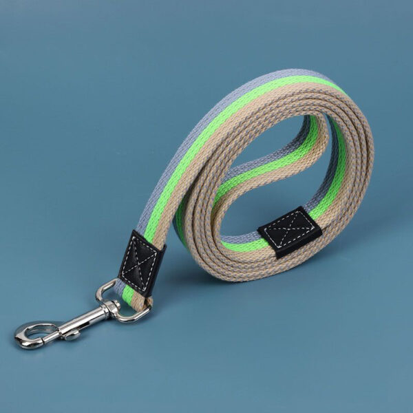 Canvas Dog Walking Leash