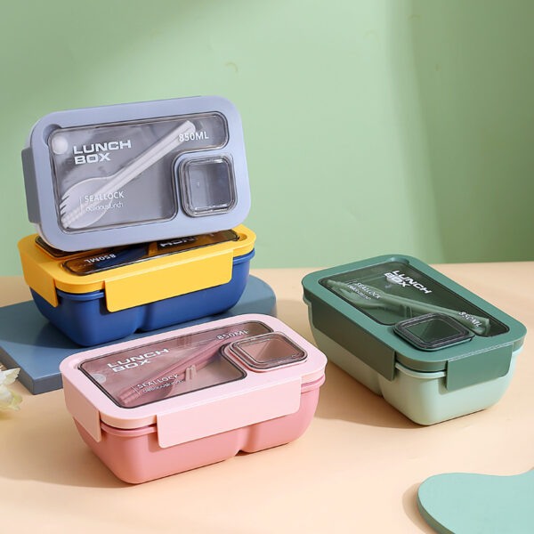 Single Custom Compartments Lunch Box