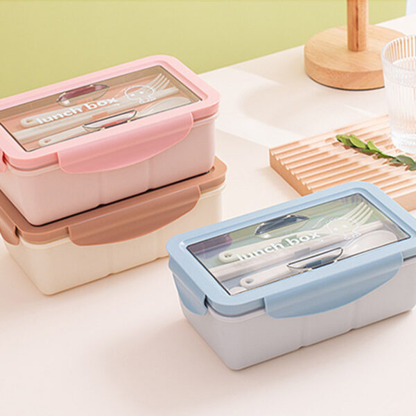 Custom Simple Compartment Lunch Box