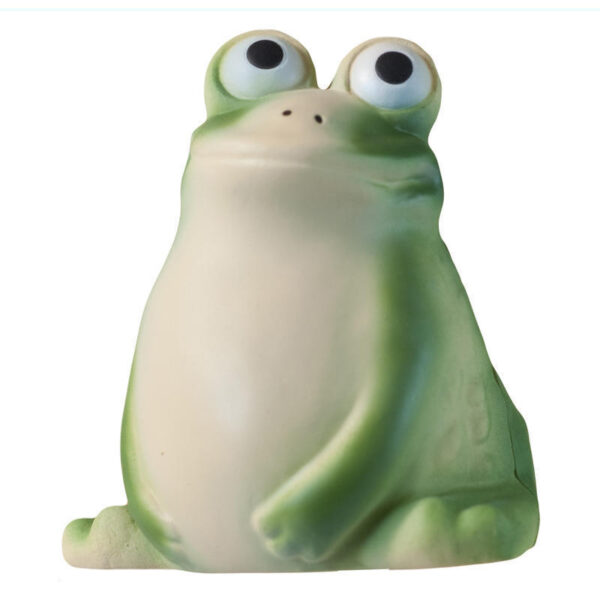 Focused Frog Stress Reliever - Image 2